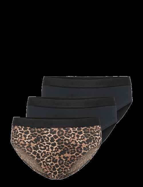 Kids Only | Koglola 3-Pack Logo Briefs Acc Noos | 146-152