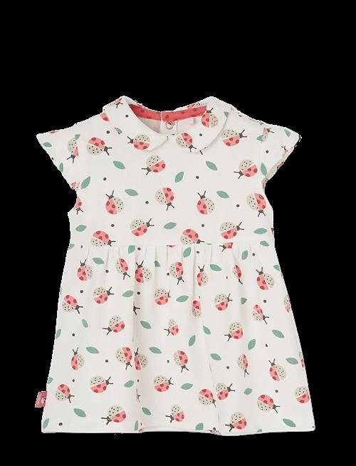 Boboli | Knit Dress Printed For Baby -Bci | 62