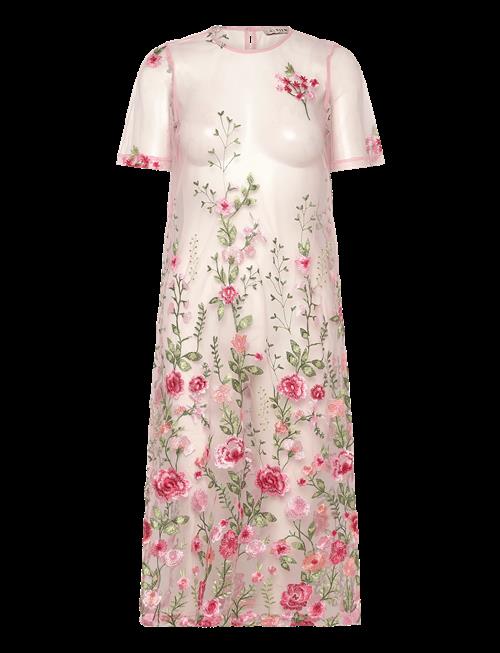 A-View | Fuschia Midi Dress | 34