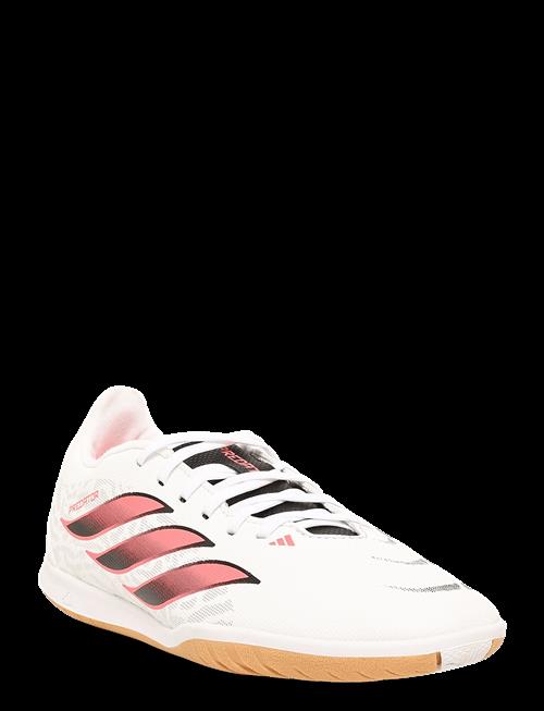 adidas Performance | Predator Club In Sala J | 38