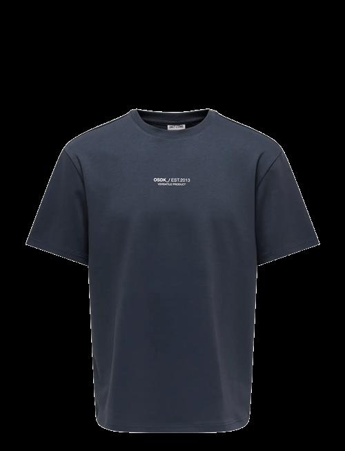 ONLY & SONS | Onscaspian Airflex Process Boxy Ss Tee | M