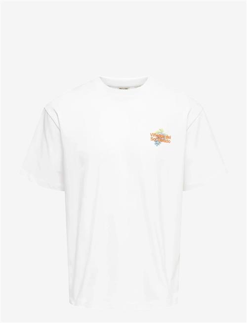 ONLY & SONS | Onsfred Life Rlx Ss Print Tee Vd | M