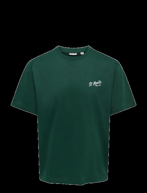 ONLY & SONS | Onsfred Life Rlx Ss Print Tee Vd | S