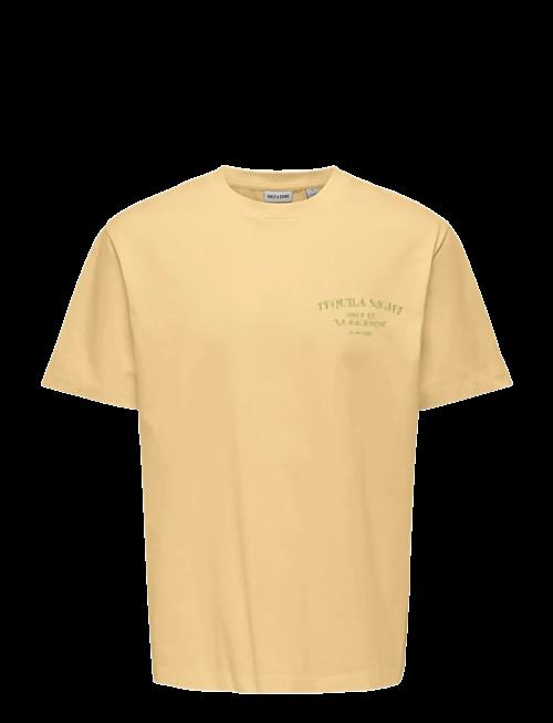 ONLY & SONS | Onsfred Life Rlx Ss Print Tee Vd | S