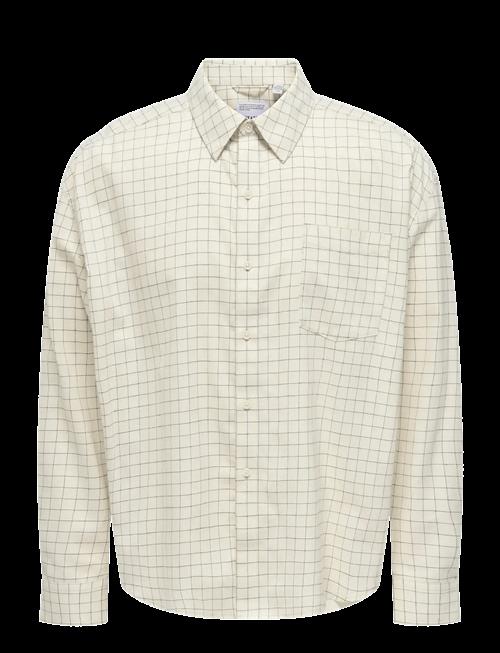 ONLY & SONS | Onsbarney Rlx Check Ls Shirt Cf | L
