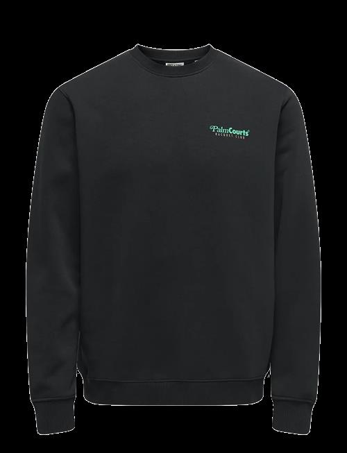 ONLY & SONS | Onsten Reg Ls Crew | XXL