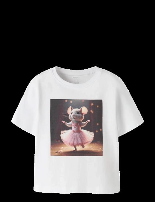 name it | Nmfvotea Ss Nreg Top | 110