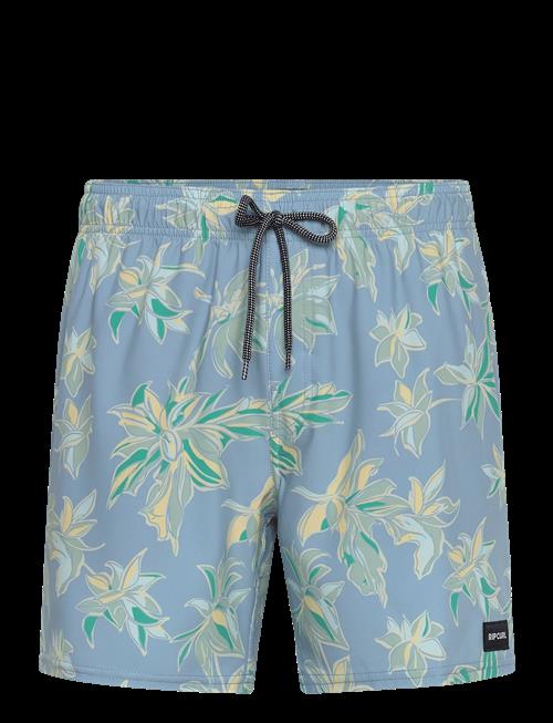 Rip Curl | Sessions Volley | M
