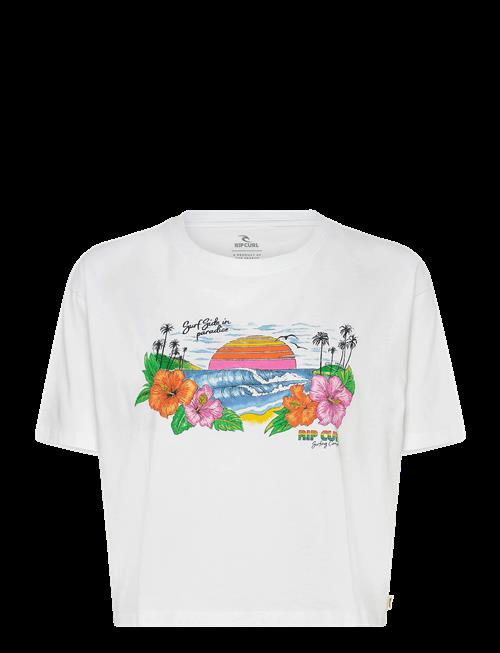 Rip Curl | Sun Rays Cropped Tee | XL