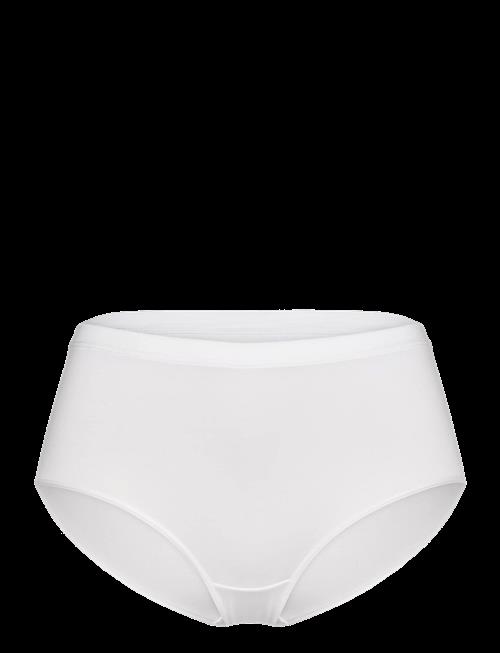 CCDK Copenhagen | Modal Maxi Brief | S