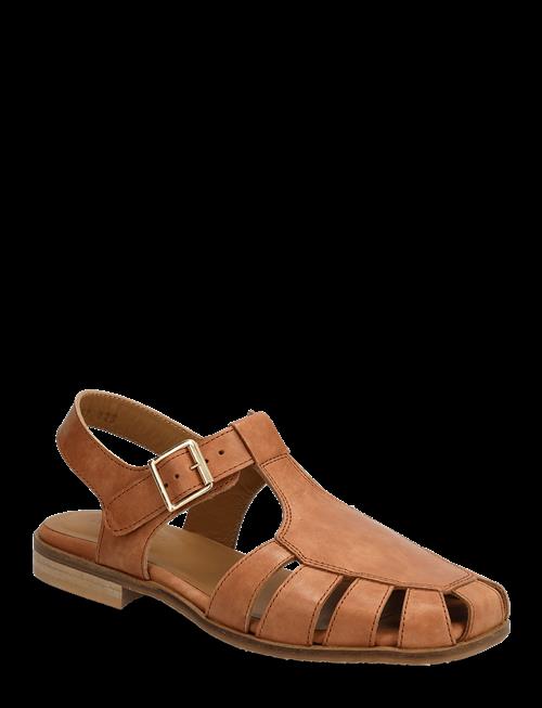 ANGULUS | Sandals - Flat  - Closed Toe - Op | 37