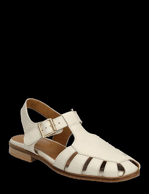 ANGULUS | Sandals - Flat  - Closed Toe - Op | 40.5