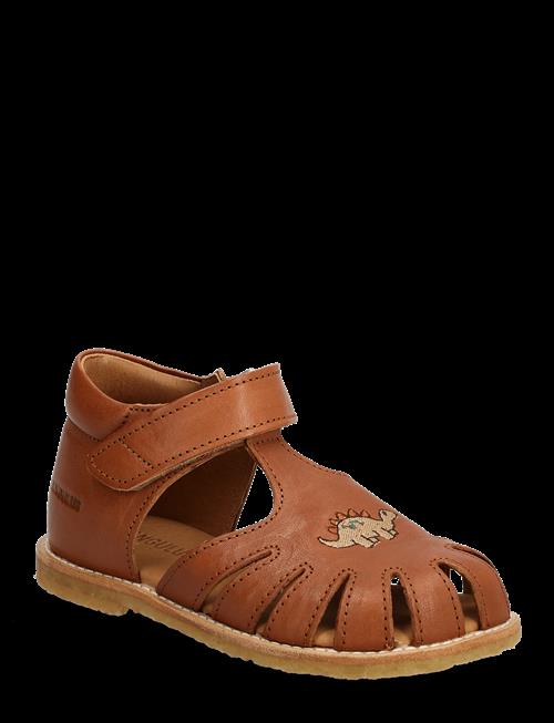 ANGULUS | Sandals - Flat  - Closed Toe | 23