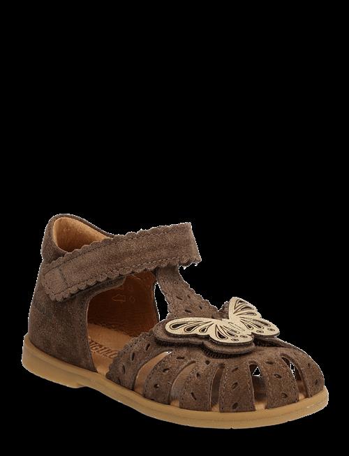 ANGULUS | Sandals - Flat  - Closed Toe | 23