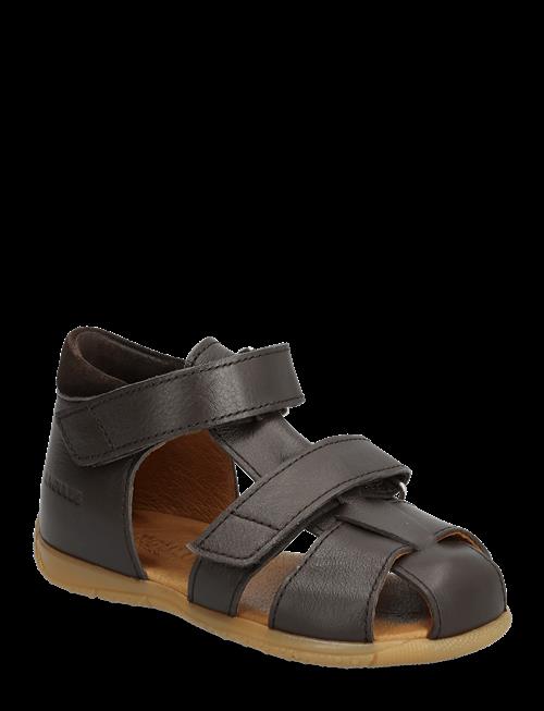 ANGULUS | Sandals - Flat  - Closed Toe | 19