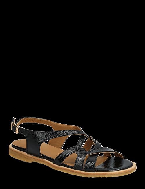 ANGULUS | Sandals - Flat | 42