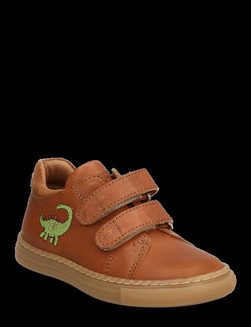 ANGULUS | Shoes - Flat - With Velcro | 24
