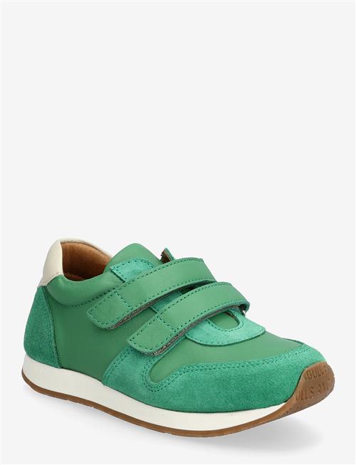 ANGULUS | Shoes - Flat - With Velcro | 22