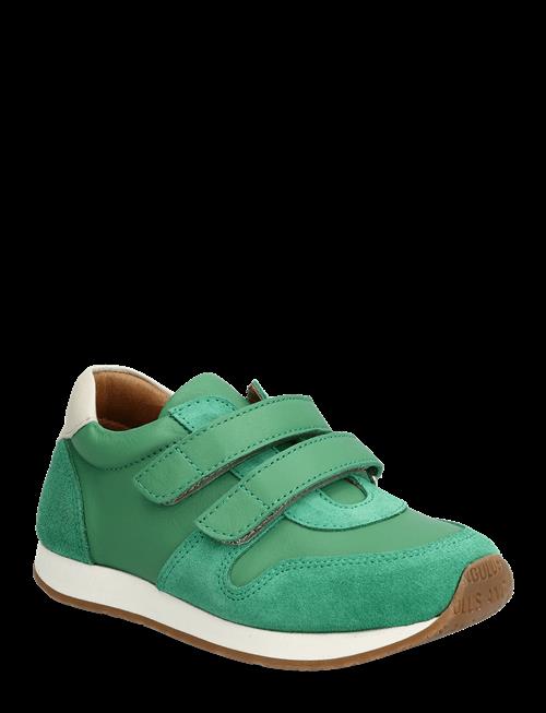 ANGULUS | Shoes - Flat - With Velcro | 25