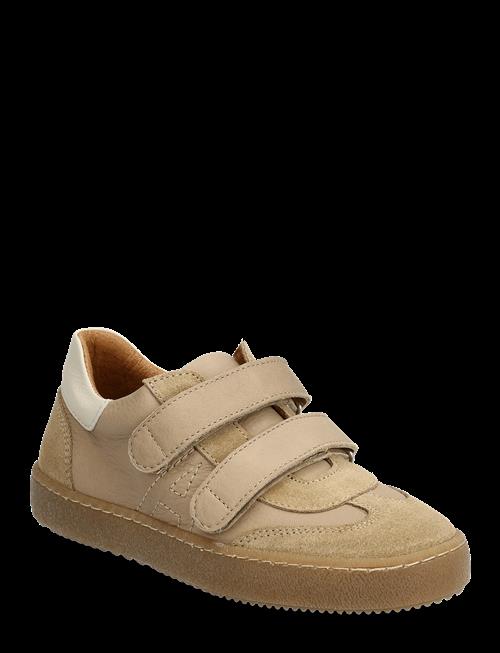 ANGULUS | Shoes - Flat - With Velcro | 32