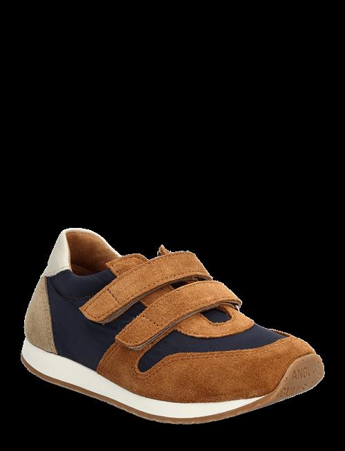 ANGULUS | Shoes - Flat - With Velcro | 30