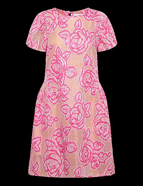 Naja Lauf | Nomi Dress Blind Rose | 38