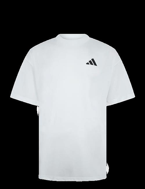 adidas Performance | M Fun Train G T | M