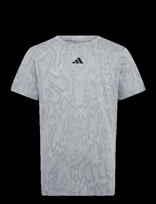 adidas Performance | D4T Primelift T | S