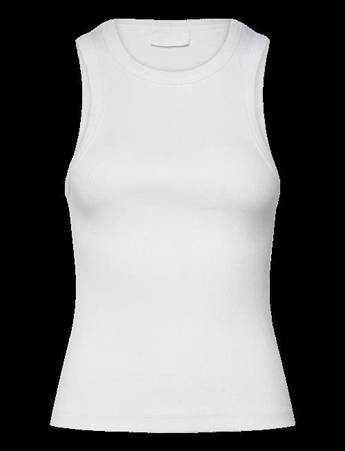 2NDDAY | 2Nd Purity Tt - Daily Cotton Rib | XL