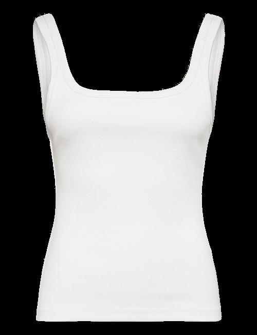 2NDDAY | 2Nd Viper Tt - Daily Cotton Rib | XL