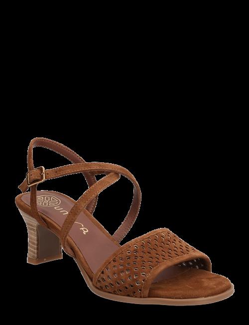 UNISA | Limosiks | 37