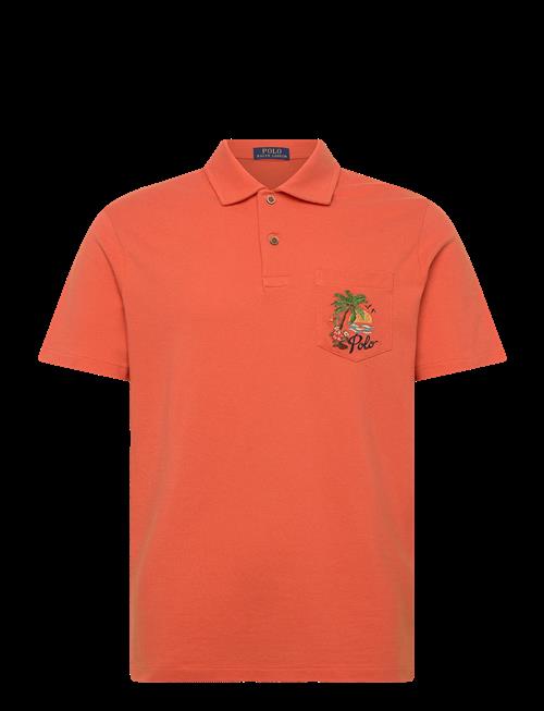 Polo Ralph Lauren | Standard Fit Mesh Graphic Polo Shirt | L