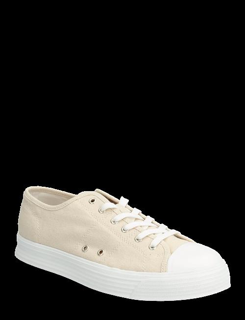 Polo Ralph Lauren | Canvas-Ayers Low-Sk-Ltl | 41
