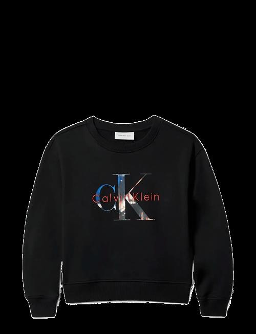 Calvin Klein | Filled-In Photo Fleece Mono Cn | 170