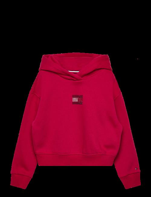 Tommy Hilfiger | Rhine Stone Flag Hoodie | 104