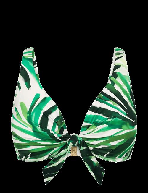 Triumph | Summer Palm W | E x 44