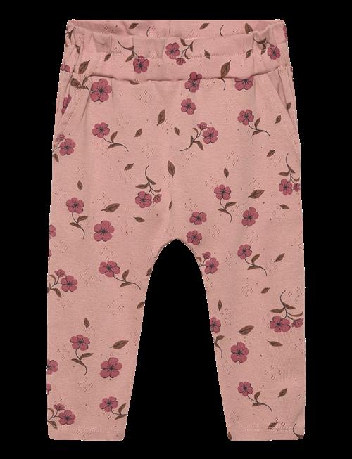 The New | Tnsbpicole Pointelle Pants | 62