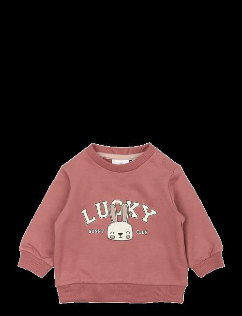 The New | Tnsbpheba Sweatshirt | 80