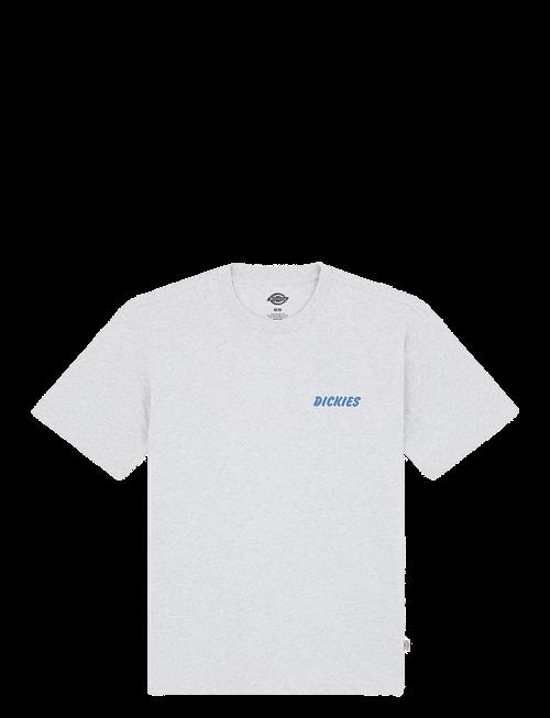Dickies | Dry Ridge Ss Tee | S