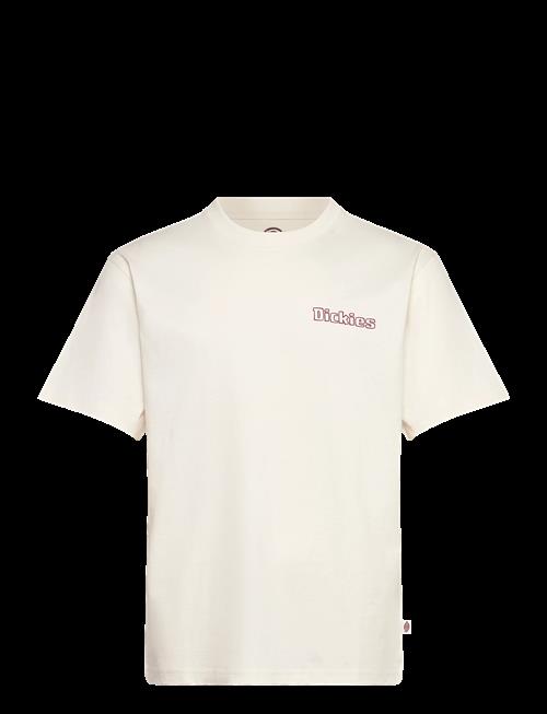 Dickies | Fairlawn Ss Tee | XS