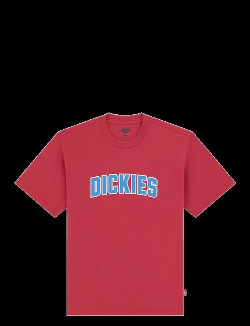 Dickies | Aitkin Ss Tee | XS
