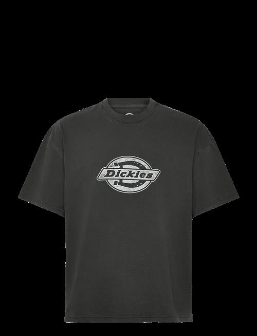 Dickies | Plainville Ss Tee | XS