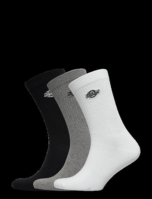 Dickies | Summerdale 3Pk | 11-13