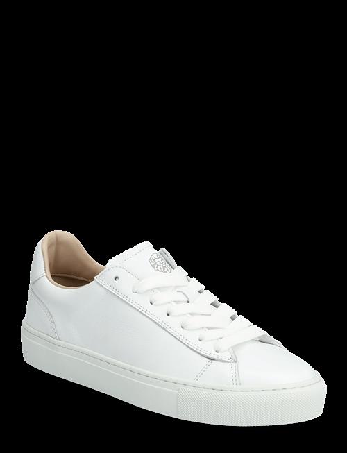 Sneaky Steve | Grand W White | 36