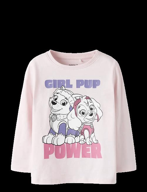 name it | Nmfvana Paw Ls Top Cplg | 116