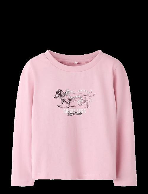 name it | Nmfsigne Ls Nreg Top | 98