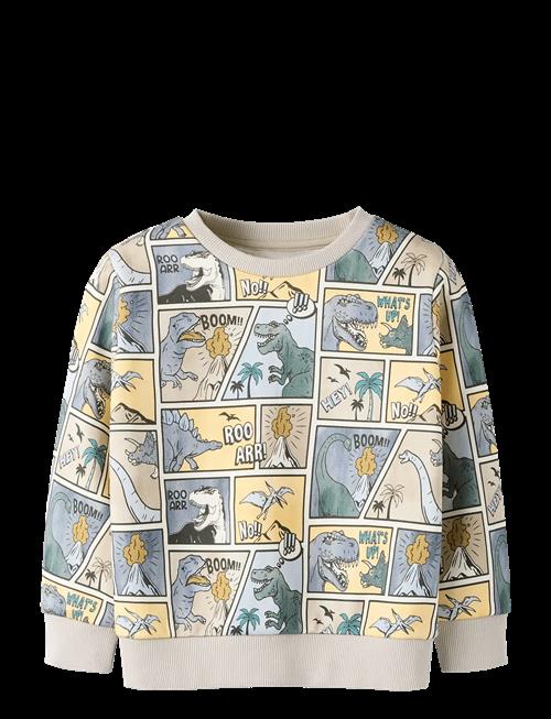 name it | Nmmsikalas Ls Nreg Swe Bru | 98
