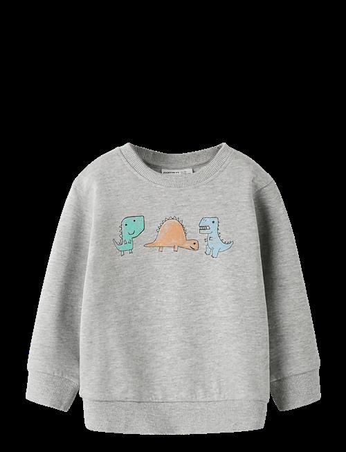 name it | Nmmsikko Ls Nreg Swe Bru | 92