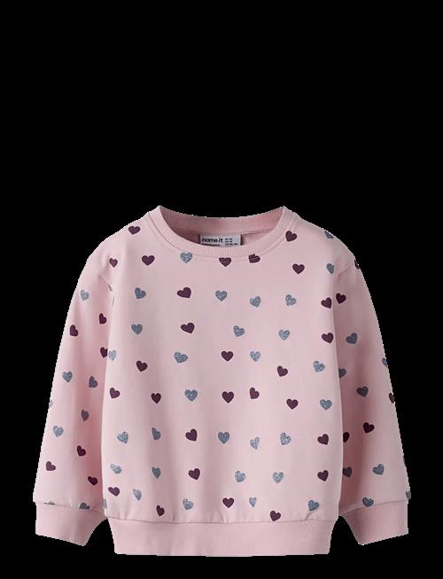 name it | Nmfsolea Ls Nreg Swe Bru | 80