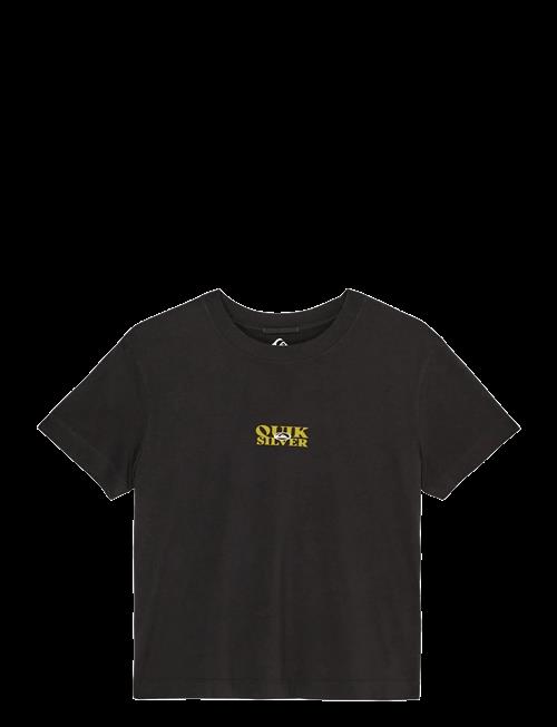 Quiksilver | Standard Ss Tee | XL